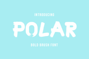 Polar Display Font for Editorial Design and Branding