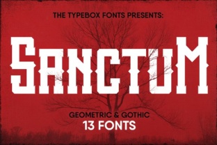 Sanctum Inky Collection Font for Handmade Creations