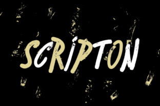 Scripton: A Bouncy Brush Typeface for Creative Makers