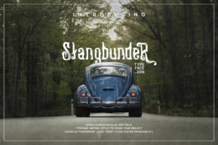 Stangbunder: A Vintage Display Font for Timeless Branding