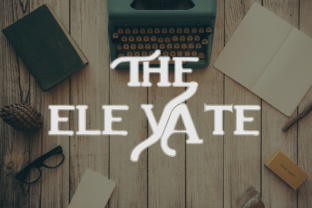 The Elevate: A Display Font for Bold Branding